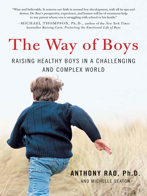 Title details for The Way of Boys by Anthony Rao, PhD - Wait list